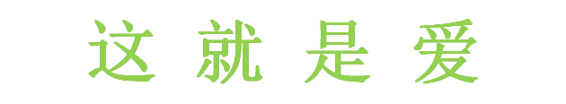      这 就 是 爱 